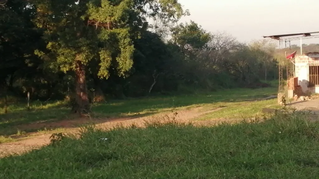 VENDO PROPIEDAD EN TOBATI — foto 2