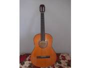 GUITARRA ACÚSTICA FREEMAN ADK-C09PK-N