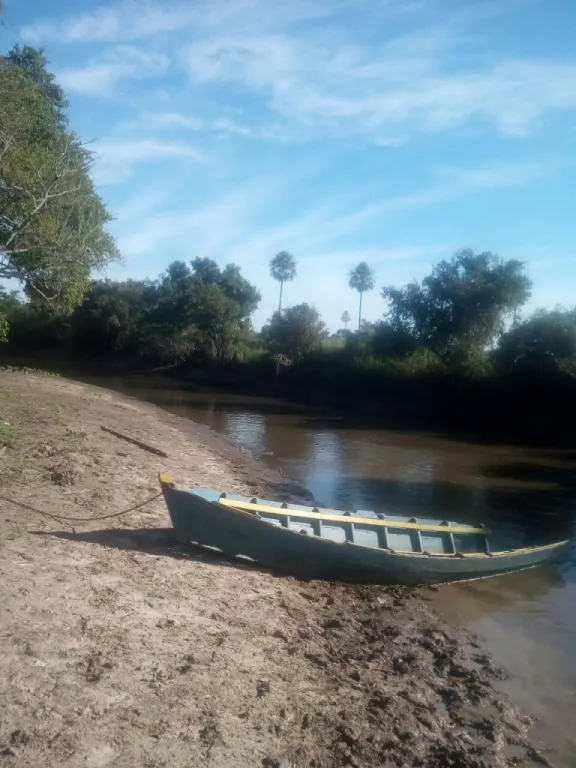 VENDO 1723 HECTAREAS ENTRE V.OLIVA Y VILLETA - PY19 — foto 3
