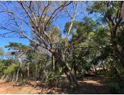 TERRENO EN MARIANO R. ALONSO - 12 X 43