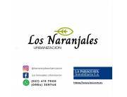 Lotes en venta en Urbanización Los Naranjales!! Atyrá