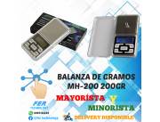 BALANZA DE GRAMOS MH-200 200GR