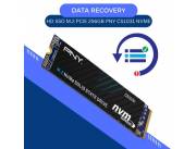 DATA RECOVERY HD SSD M.2 PCIE 256GB PNY CS1031 NVME CL 1700/1100