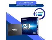 DATA RECOVERY HD SSD SATA3 256GB GIGABYTE GP-GSTFS31256GTND 520/500