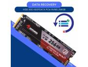 DATA RECOVERY HDD SSD 256GB KEEPDATA PCIe NVME
