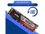 DATA RECOVERY HDD SSD 512GB GB KEEPDATA PCIe NVME