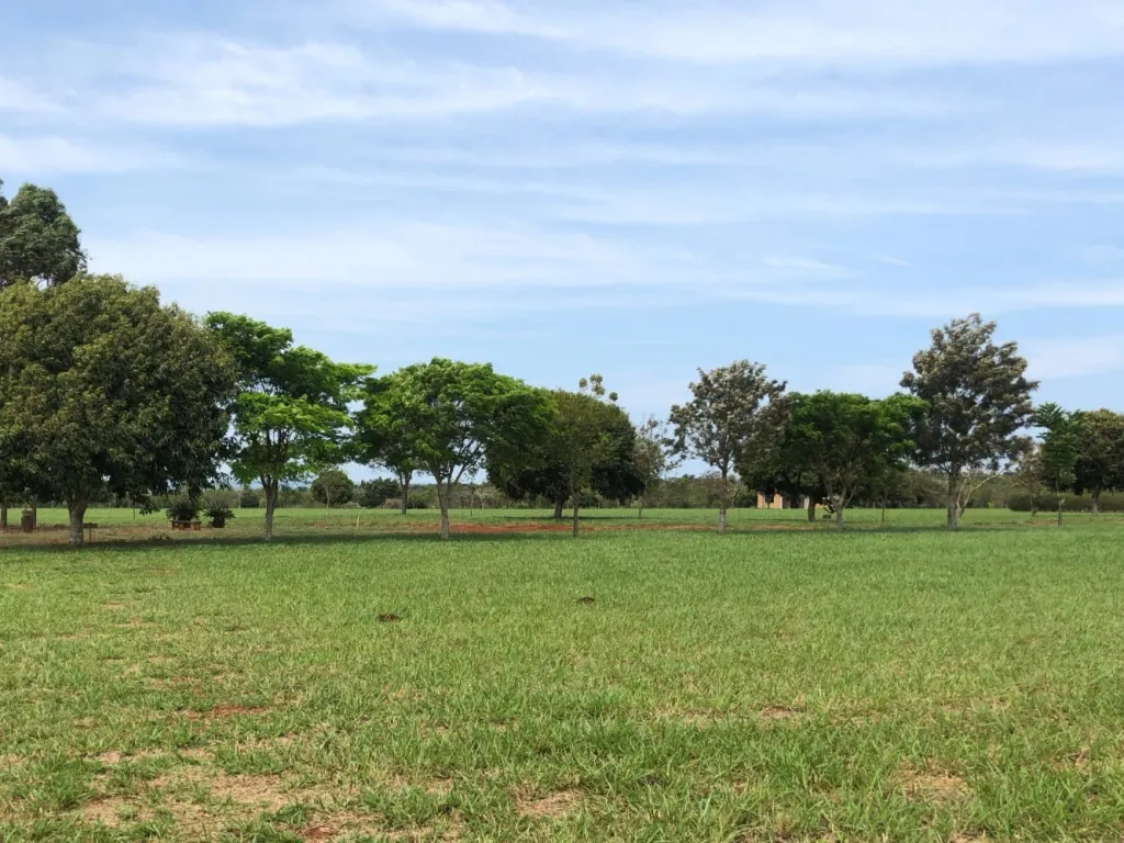 VENDO 2 LOTES JUNTOS (3.249,9M2.) EN SANTA ELENA COUNTRY & MARINA CLUB DE HERNANDARIAS — foto 2
