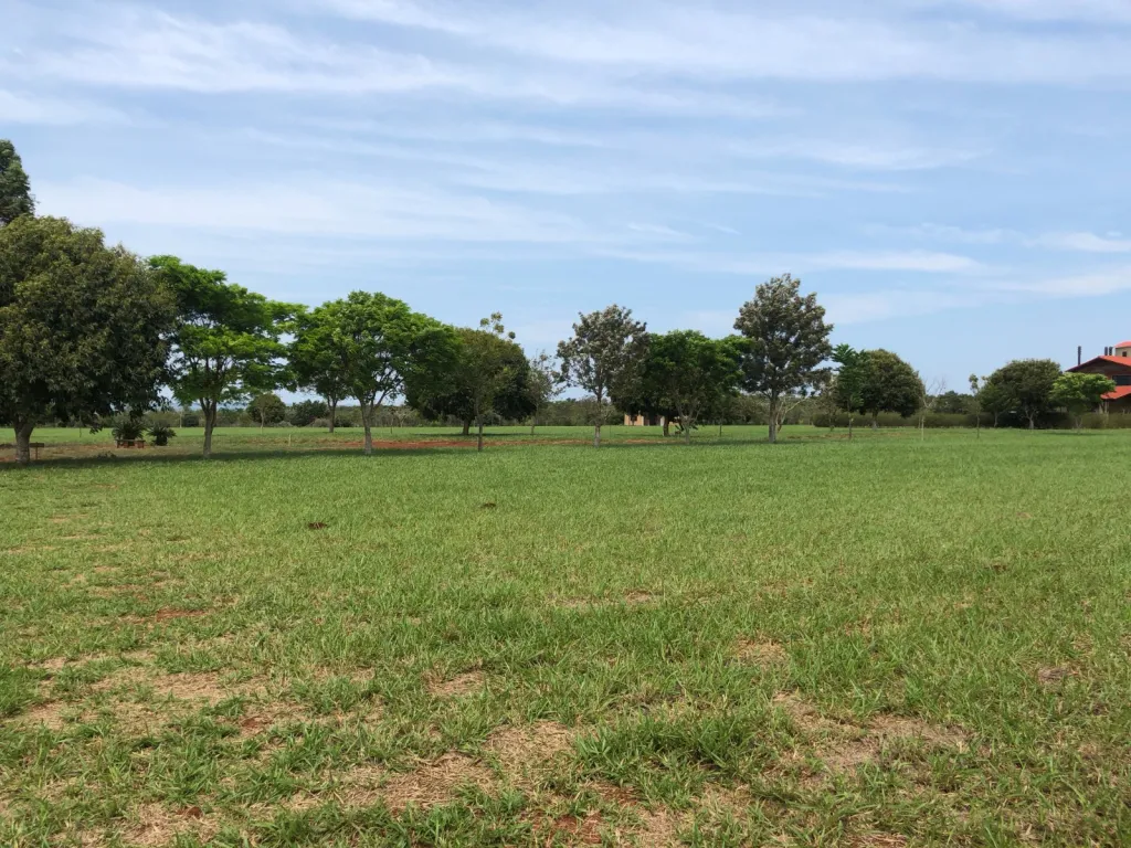 VENDO 2 LOTES JUNTOS (3.249,9M2.) EN SANTA ELENA COUNTRY & MARINA CLUB DE HERNANDARIAS — foto 3