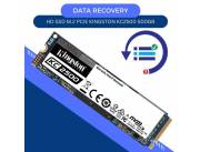 DATA RECOVERY HDD SSD 500GB KINGSTON NVME