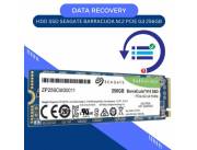 DATA RECOVERY HDD SSD 256GB SEAGATE M.2 PCIE G3