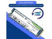 DATA RECOVERY HDD SSD 512GB SEAGATE M.2 PCIE G3