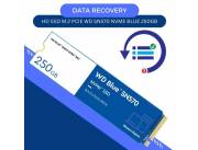 DATA RECOVERY HD SSD M.2 PCIE 250GB WD SN570 NVME WDS250G3B0C BLUE 3300/1200
