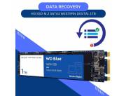 DATA RECOVERY HD SSD M.2 SATA3 1TB WESTERN DIGITAL WDS100T2B0B BLUE 560/530