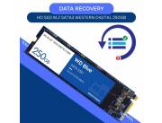 DATA RECOVERY HD SSD M.2 SATA3 250GB WESTERN DIGITAL WDS250G2B0B BLUE