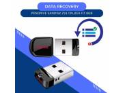 DATA RECOVERY PENDRIVE 8GB SANDISK Z33