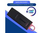 DATA RECOVERY PEN KINGSTON 256GB DTX/256GB DATATRAVELER EXODIA 3.2