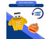 DATA RECOVERY PENDRIVE 4GB DINOSAUR- ROBOT TRES RAYAS