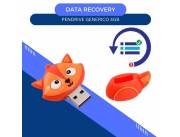 DATA RECOVERY PENDRIVE 4GB DINOSAUR- ZORRITO