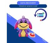 DATA RECOVERY PENDRIVE 8GB AMIGOS DE POOH- BURRITO