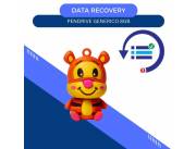 DATA RECOVERY PENDRIVE 8GB AMIGOS DE POOH- TIGER