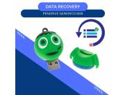 DATA RECOVERY PENDRIVE 8GB- DISEÑO FRANK EINSTEIN