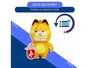 DATA RECOVERY PEN DRIVE 8GB- DISEÑO GARFIELD DIENTES