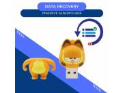 DATA RECOVERY PENDRIVE 8GB- DISEÑO GARFIELD MEDIO OJO