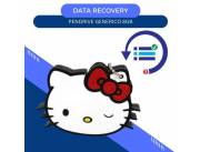 DATA RECOVERY PENDRIVE 8GB- DISEÑO HELLO KITTY GATA BLANCA