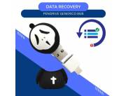 DATA RECOVERY PENDRIVE 8GB- DISEÑO SCARE MOVIE