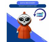DATA RECOVERY PENDRIVE 8GB- DISEÑO VERDUGO ROJO