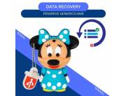 DATA RECOVERY PENDRIVE 8GB- DISNEY MINNIE CELESTE