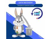 DATA RECOVERY PENDRIVE 8GB- LOONEY TUNES BUGS BUNNY