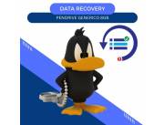 DATA RECOVERY PENDRIVE 8GB- LOONEY TUNES PATO LUCAS