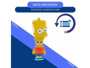 DATA RECOVERY PENDRIVE 8GB- LOS SIMPSONS BART