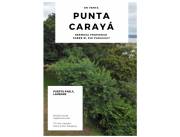 PUNTA CARAYA – PTO. PABLA, S/ RIO PY: 56.200 M2, IDEAL P/ BARRIOS PRIVADOS, LOTEAMIENTOS.