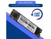 DATA RECOVERY HD SSD M.2 SATA3 256GB HIKVISION E100N 560/480