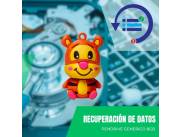 RECUPERACIÓN DE DATOS PENDRIVE 8GB - AMIGOS DE POOH - TIGER