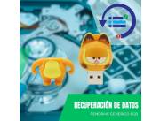 RECUPERACIÓN DE DATOS PENDRIVE 8GB - DISEÑO GARFIELD MEDIO OJO