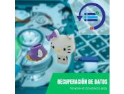 RECUPERACIÓN DE DATOS PENDRIVE 8GB - DISEÑO HELLO KITTY LILA / VIOLETA