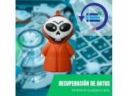 RECUPERACIÓN DE DATOS PENDRIVE 8GB - DISEÑO VERDUGO ROJO