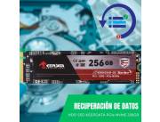 RECUPERACIÓN DE DATOS HDD SSD 256GB KEEPDATA PCIE NVME 3.0*