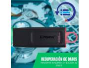RECUPERACIÓN DE DATOS PEN KINGSTON 256GB DTX/256GB DATATRAVELER EXODIA 3.2