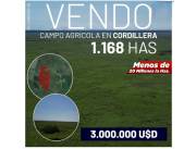 EN VENTA IMPORTANTE CAMPO AGRO GANADERO DE 1.168 HAS. EN SAN JOSE OBRERO, DPTO CORDILLERA!