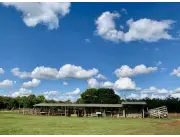 Campo Agrícola/Ganadero en Encarnación - 230 Ha.