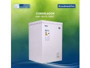 Congelador Goodweather de 110 litros con vitrina (4453)