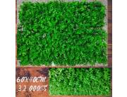 PASTO ARTIFICIAL ECO LUQUE PY