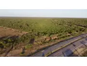 Terreno Rural en Loma Plata sobre la Ruta Transchaco - 26 Ha.