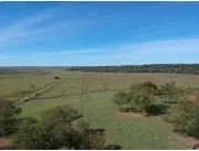 980 HECTAREAS JUAN DE MENA–CORDILLERA