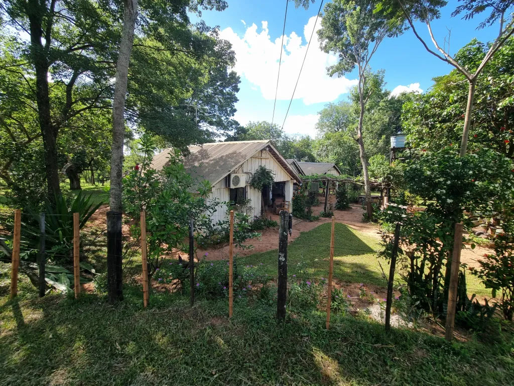 VENDO 40 Há EN ZONA GRAL ARTIGAS — foto 2