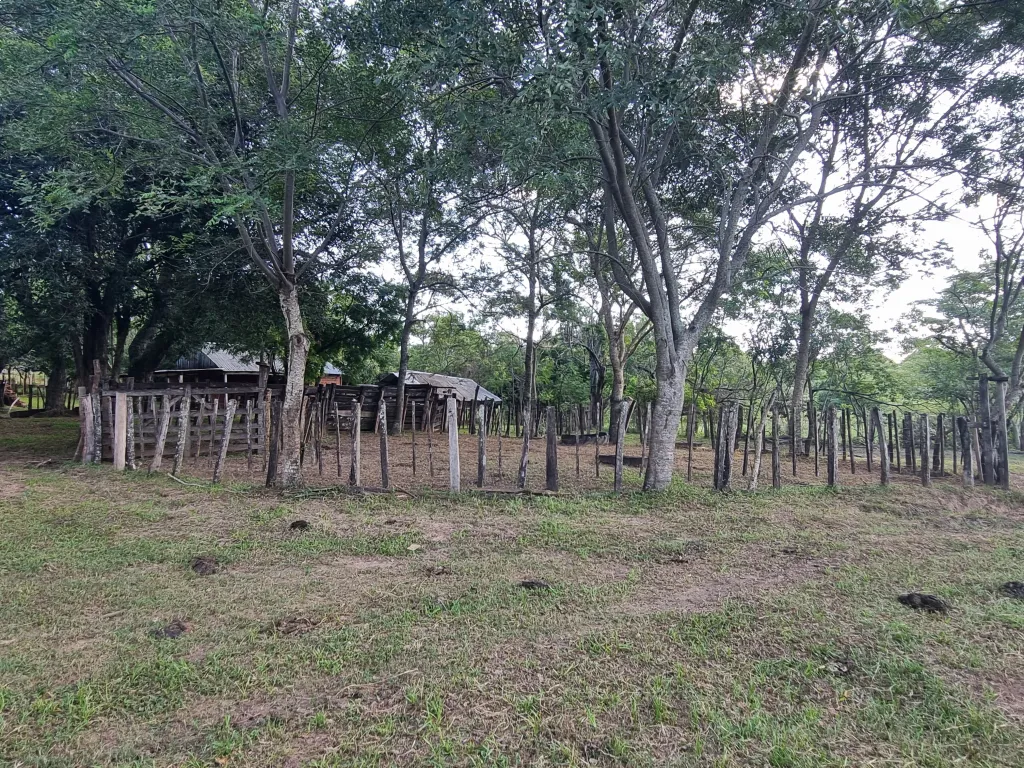 VENDO 40 Há EN ZONA GRAL ARTIGAS — foto 3
